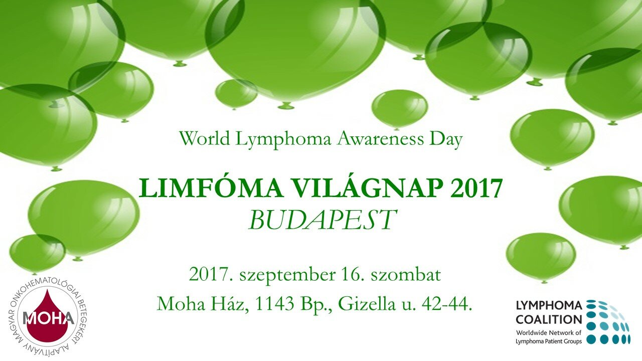 Limfma Vilgnap 2017 1